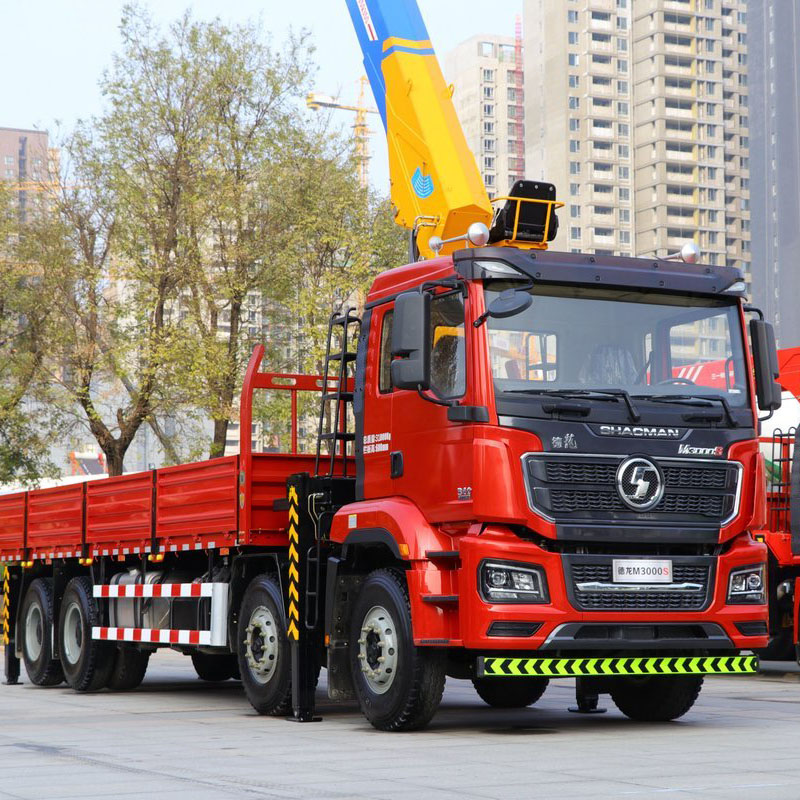 Sinotruk Shacman delong 2018 8x4
